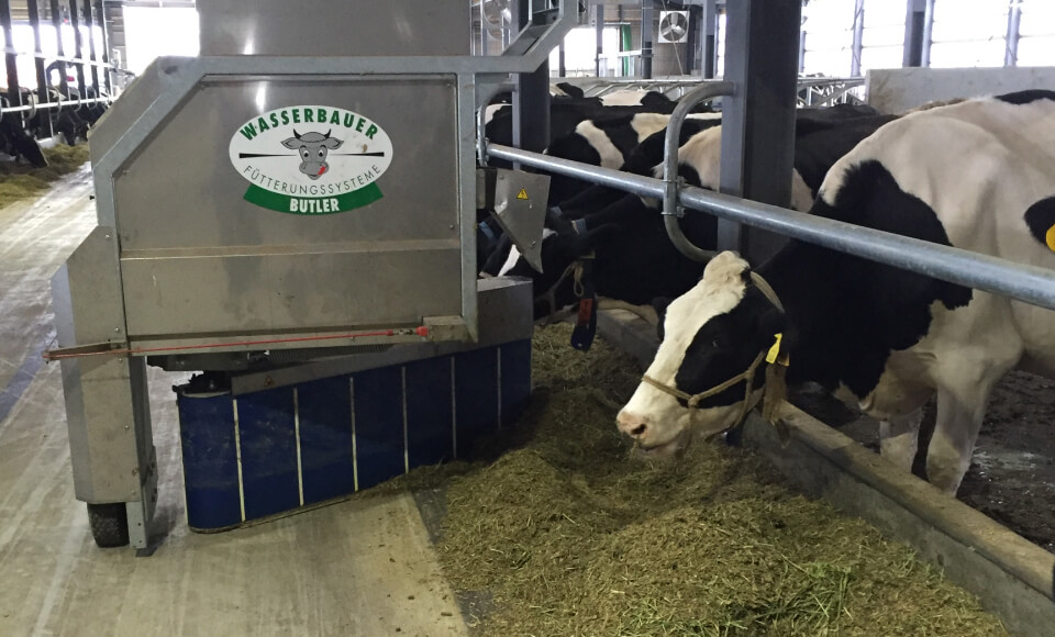 バトラーシルバー