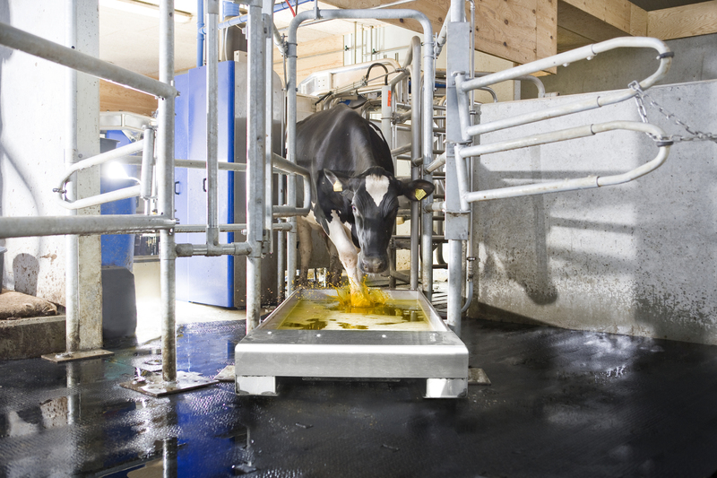 自動フットバスAFB1000